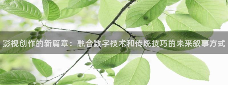 6080新视觉官网：影视创作的新篇章：融合数字技术和传统技巧的未来叙事方式