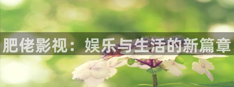 新视觉八戒影院：肥佬影视：娱乐与生活的新篇章