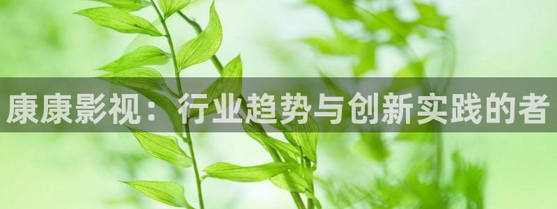 新视觉影院91：康康影视：行业趋势与创新实践的者