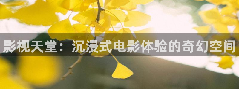 8060新视觉影视：影视天堂：沉浸式电影体验的奇幻空间