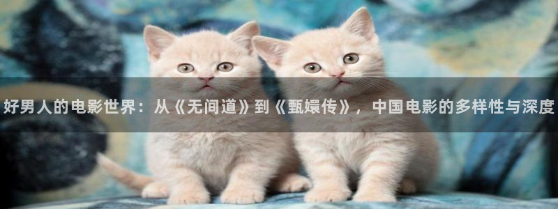 新视觉6080青苹果影视：好男人的电影世界：从《无间道》到《甄嬛传》，中国电影的多样性与深度