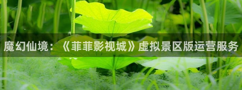 yy6080新视觉手机看片