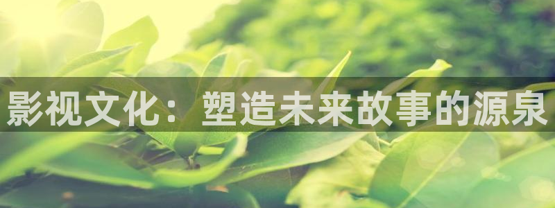新视觉yy6080高清电视剧在线观看